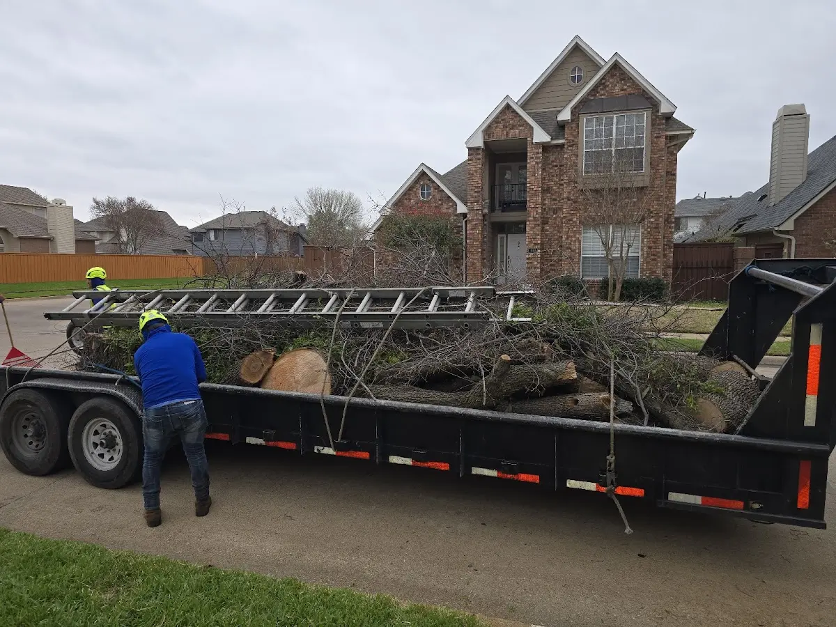 Expert Tree Fertilization with proper safety equipment in Sebring